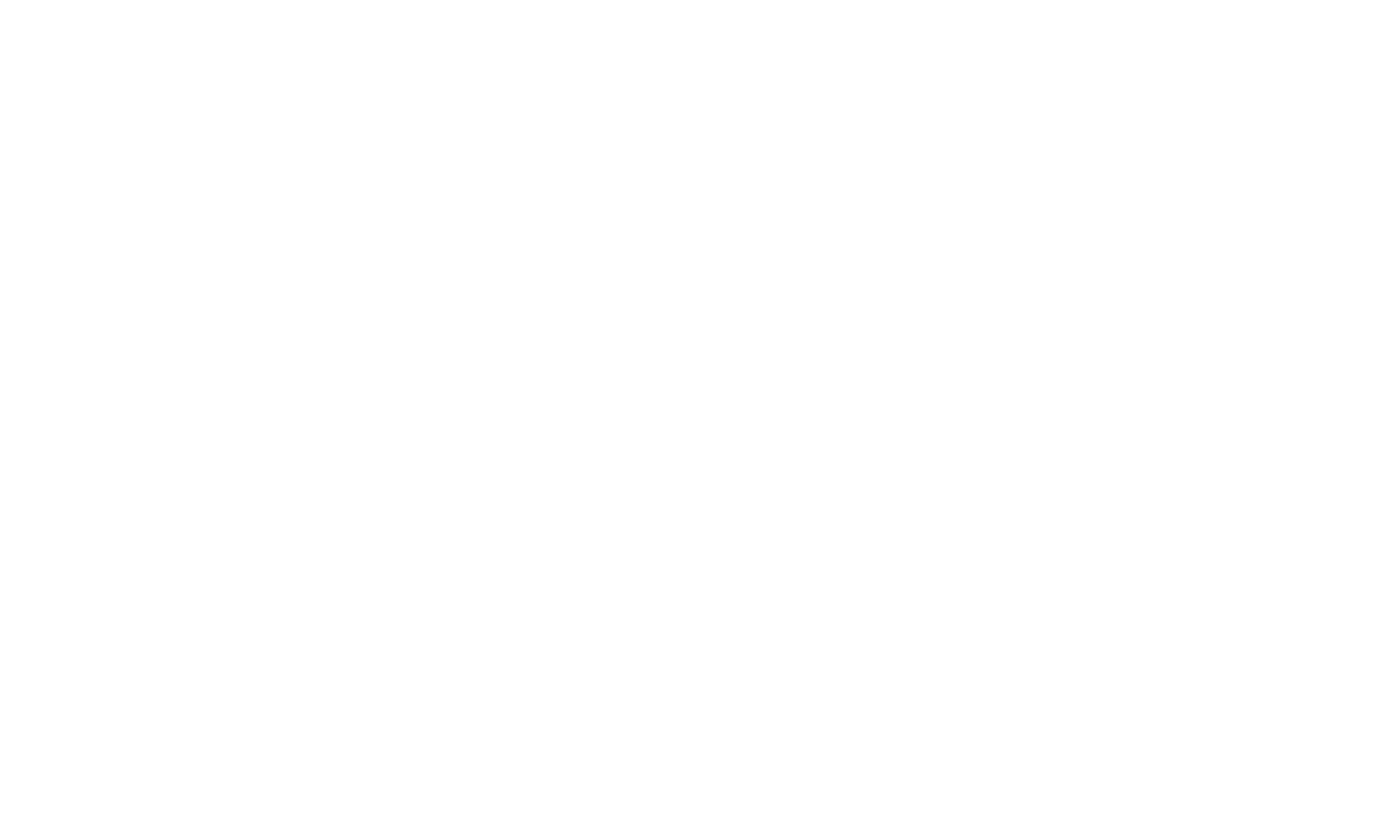 Shommer Risk