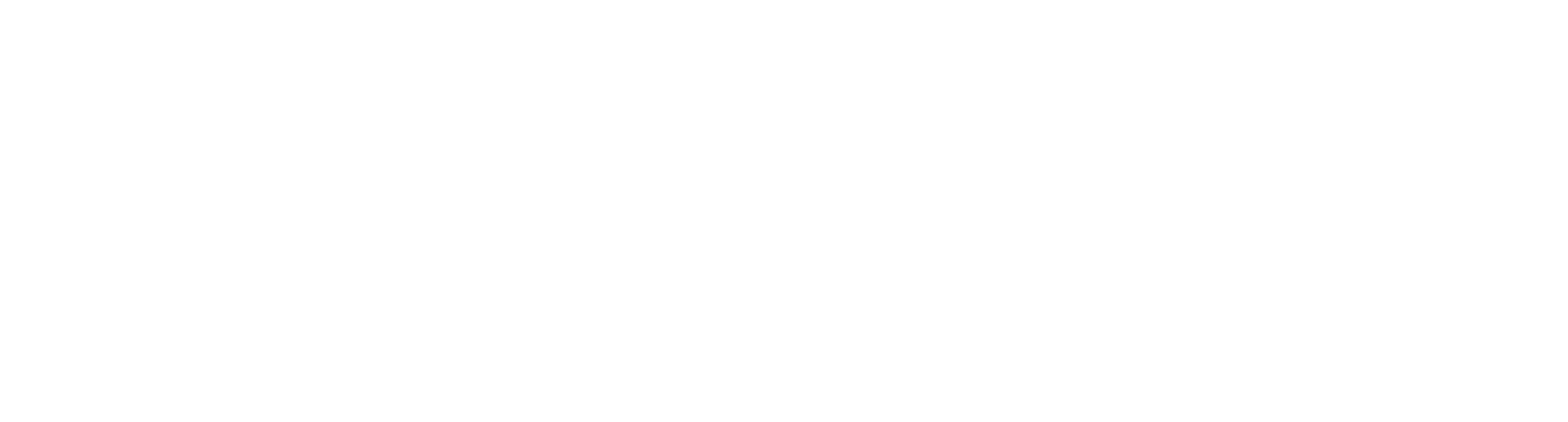 Shommer Risk